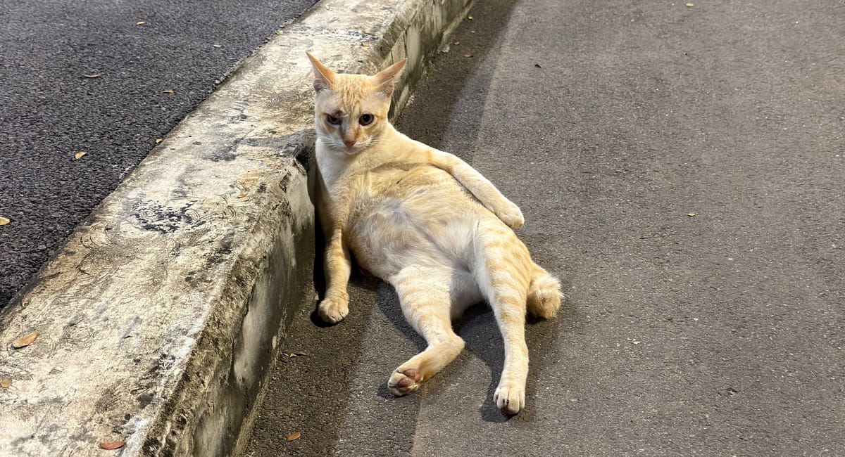 The paradox of freedom and restlessness